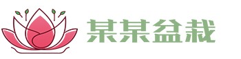 九游会·[j9]官方网站-真人游戏第一品牌